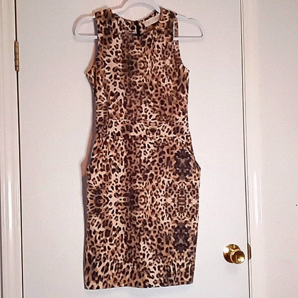 Zara Knit Leopard Print Dress